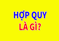 Hợp quy là gì?