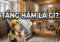 tang ham la gi